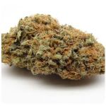 Шишки AK47 (Гидропоника, Бошка) VHQ в Советском Шишки AK47 (Гидропоника, Бошка) VHQ в Советском