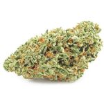 Шишки OG Kush (Гидропоника, бошки) VHQ в Советском Шишки OG Kush (Гидропоника, бошки) VHQ в Советском